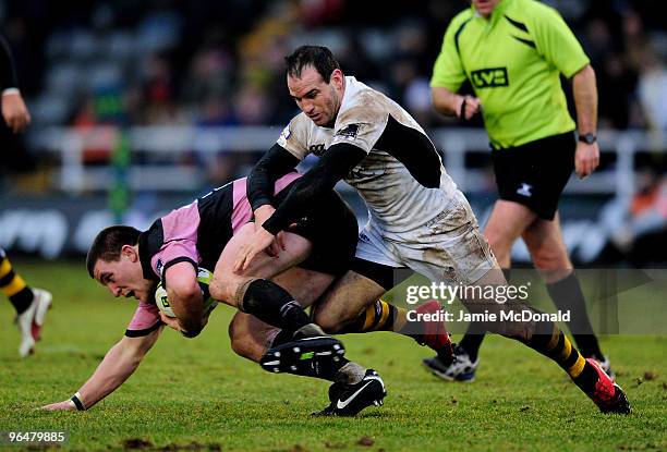 Filipo Levi of Newcastle is tackled by Mark Robinson of Wasps during the LV Anglo Welsh Cup match between Newcastle Falcons and London Wasps on...