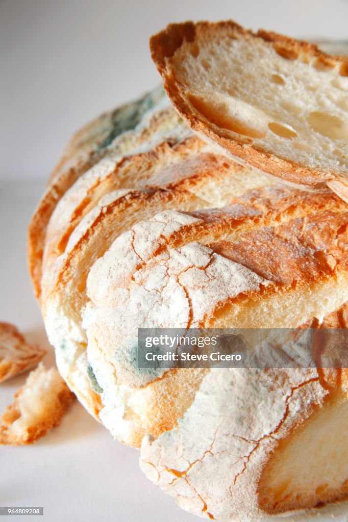 Sliced bread with mold