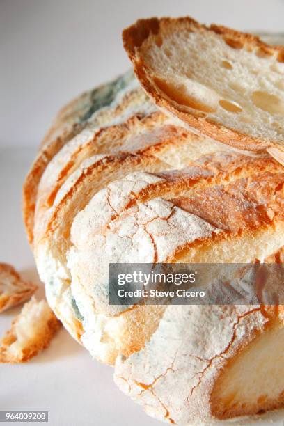 sliced bread with mold - fungal mold stockfoto's en -beelden