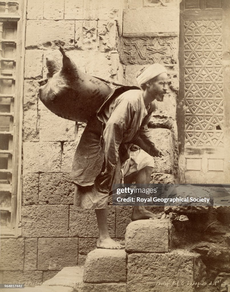 Water Carrier