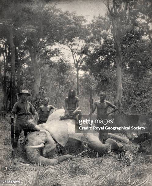 European hunter with African men sitting on a killed elephant, Rhodesia, There is no official date for this photograph, Zimbabwe, 1930.