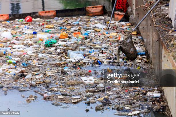 water pollution - polluting the seas - ugly turkey stock pictures, royalty-free photos & images