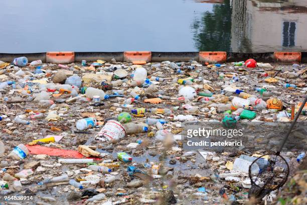 water pollution - polluting the seas - ugly turkey stock pictures, royalty-free photos & images