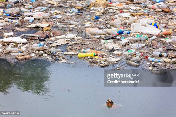 water pollution - polluting the seas - ugly turkey stock pictures, royalty-free photos & images