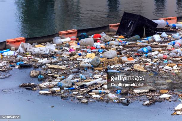 水污染-污染海洋 - ugly turkey 個照片及圖片檔