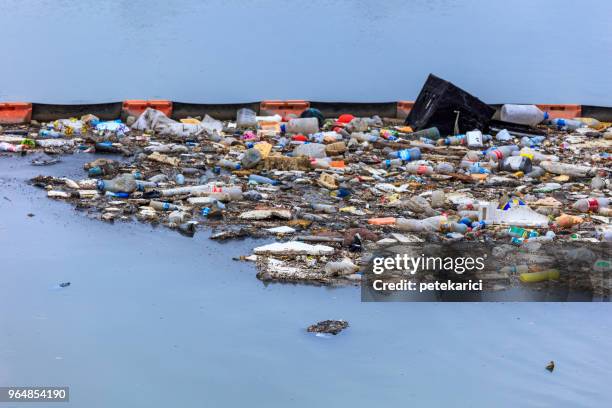 water pollution - polluting the seas - ugly turkey stock pictures, royalty-free photos & images