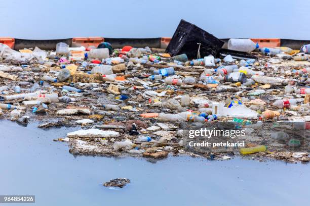 water pollution - polluting the seas - ugly turkey stock pictures, royalty-free photos & images