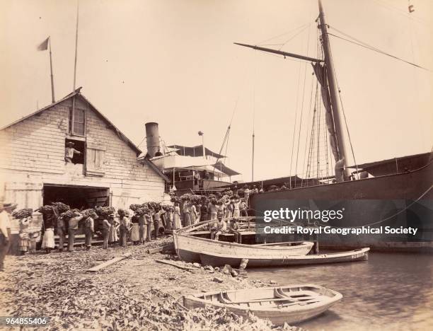 Loading 'SS Banan' with bananas for Boston USA in Port Antonio, Jamaica, 1891.