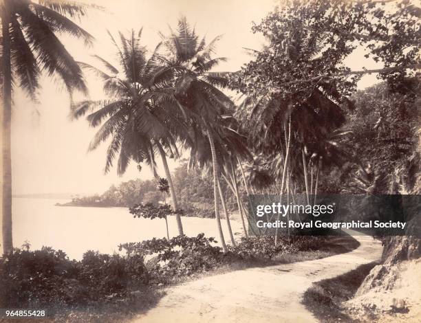 Scene near Port Antonio, Jamaica, 1891.