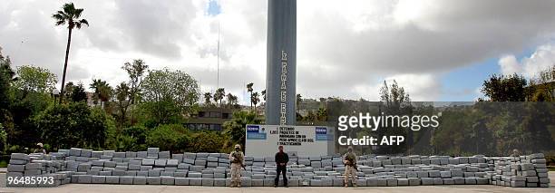 Mexican soldiers guard 12 tons of seized marijuana that are displayed in Tijuana, Baja California state, Mexico on February 7, 2010. The Mexican army...
