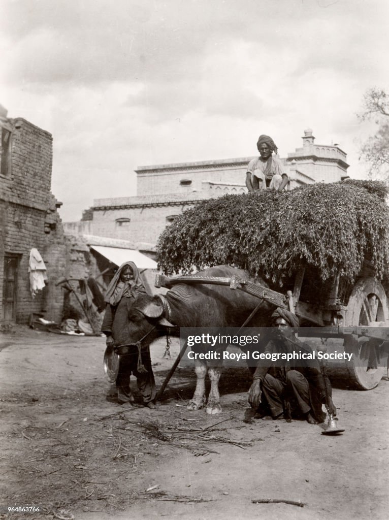 A buffalo cart and street scene in Punjab