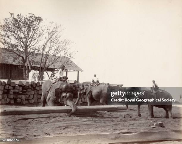 Elephant raising log previous to stacking in Moulmein, Burma, Myanmar, 1890.