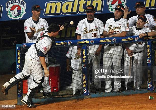 Jose Lobaton of Leones del Caracas loses the ball during the Caribbean Baseball Series 2010 at the Guatamare Stadium on February 6, 2010 in Isla...