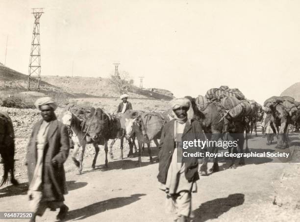 Laden camel train in the Khyber Pass, North West Frontier, Pakistan, 1926.