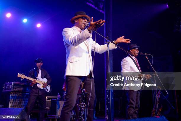 Skip Martin Singer 366 Dazz Stock Photos, High-Res Pictures, and Images - Getty Images