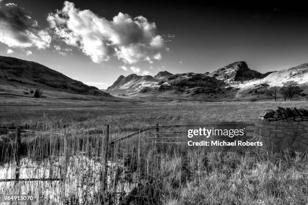 the langdale pikes from blea tarn in the english lake district - langdale pikes stock pictures, royalty-free photos & images