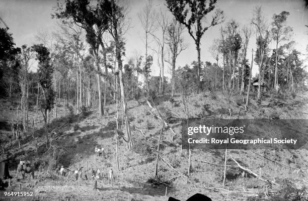 Felled trees on hillside', This image was taken circa 1890-99, Myanmar, 1890.