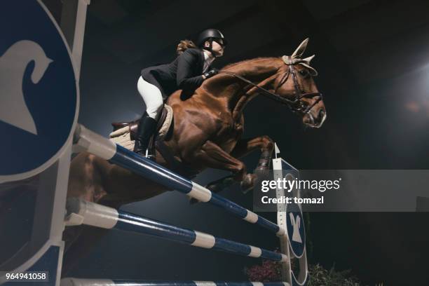 frau mit pferd über die hürde springen - reitsport stock-fotos und bilder