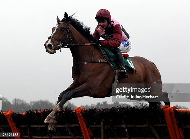 Liam Treadwell and Sarando clear the last flight to go on and win The Group Clean Novices' Hurdle Race run at Lingfield Park Racecourse on February...