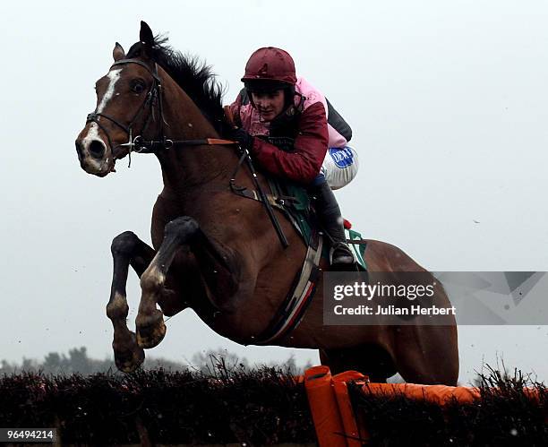 Liam Treadwell and Sarando clear the last flight to go on and win The Group Clean Novices' Hurdle Race run at Lingfield Park Racecourse on February...