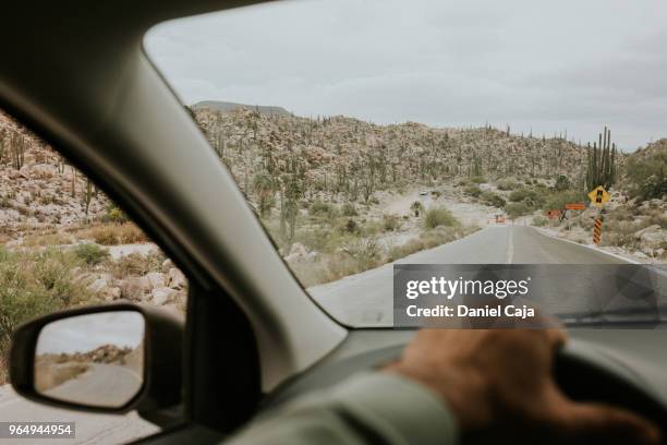 kaktuslandschaft in mexiko - baja california norte stock pictures, royalty-free photos & images