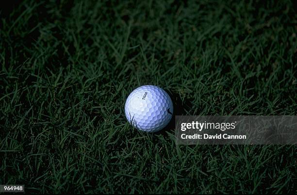 The Nike ball of USA's Tiger Woods lies in the short rough at the Johnnie Walker Classic played at the Alpine Golf and Sports Club in Bangkok,...