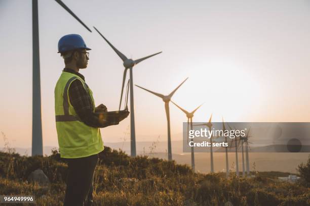 hernieuwbare energiesystemen engineering - biomass renewable energy source stockfoto's en -beelden