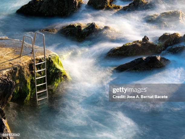 natural pools within rocky lava coast near atlantic ocean, cinco ribeiras, terceira island, azores islands, portugal - flores stock pictures, royalty-free photos & images