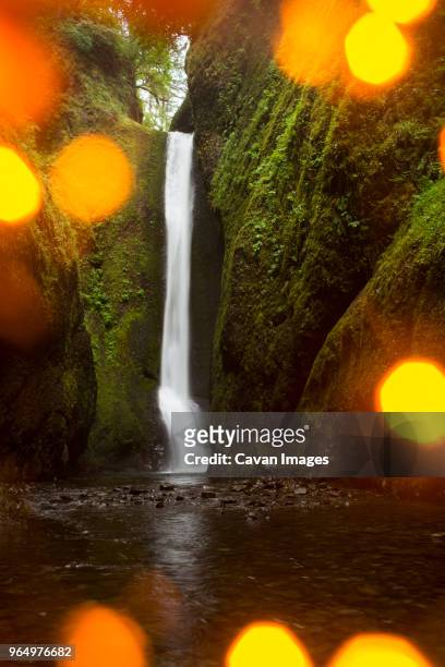 scenic view of oneonta falls - oneonta falls stock pictures, royalty-free photos & images