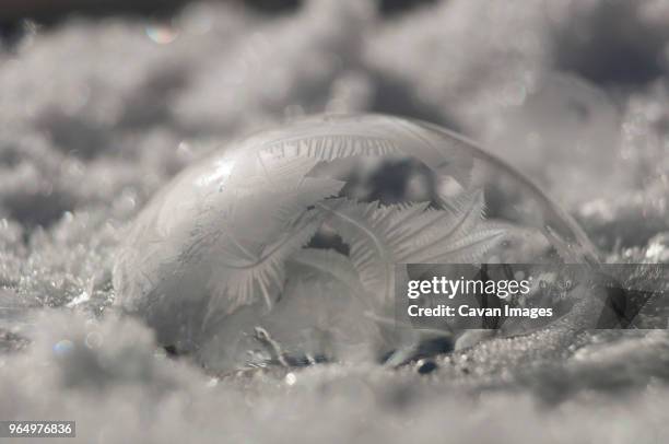 close-up of frozen bubble in water - frozen soap bubble stock pictures, royalty-free photos & images
