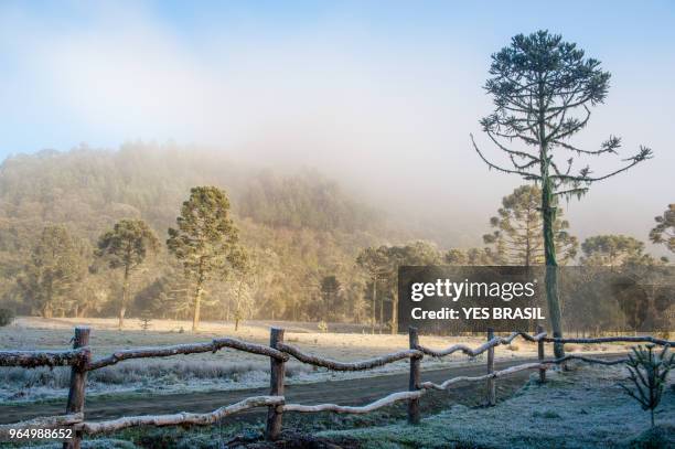frost in urubici in the serra catarinense - hill range stock pictures, royalty-free photos & images