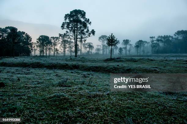 frost in urubici in the serra catarinense - hill range stock pictures, royalty-free photos & images