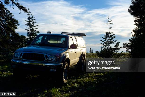 sports utility vehicle on grassy field against cloudy sky - off highway vehicle stock pictures, royalty-free photos & images