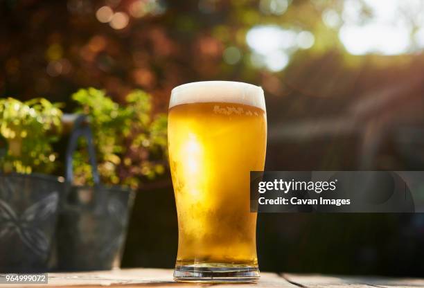 close-up of beer on table - beer glass stock pictures, royalty-free photos & images