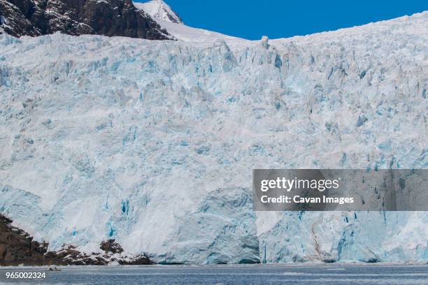 idyllic view of holgate glacier at kenai fjords national park - holgate stockfoto's en -beelden