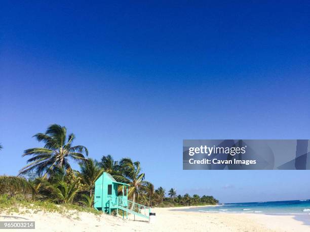 lifeguard hut at flamenco beach against clear blue sky during sunny day - puerto rico palm tree stock pictures, royalty-free photos & images