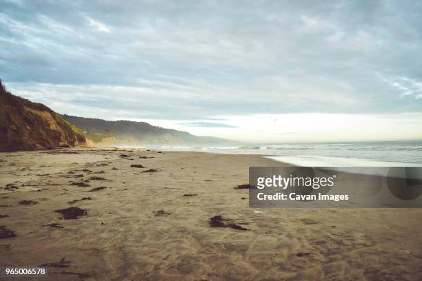 scenic view of pescadero state beach against cloudy sky - pescadero stock pictures, royalty-free photos & images