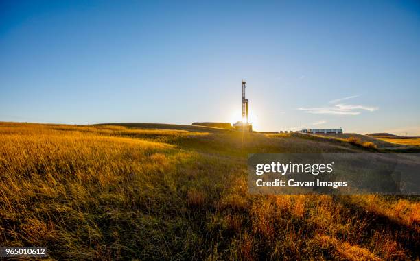 oil pump on field against blue sky - piattaforma petrolifera foto e immagini stock