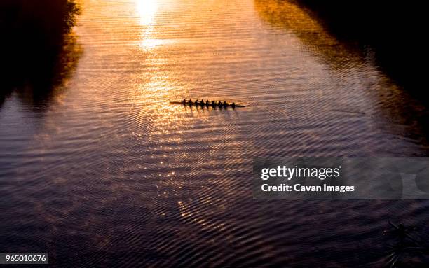 high angle distant view of people sculling on lady bird lake during sunrise - sweep rowing bildbanksfoton och bilder