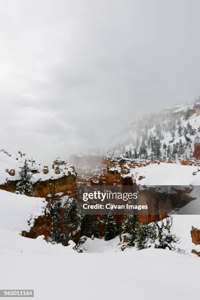 scenic view snow covered trees and mountains at bryce canyon national park - bryce canyon photos et images de collection