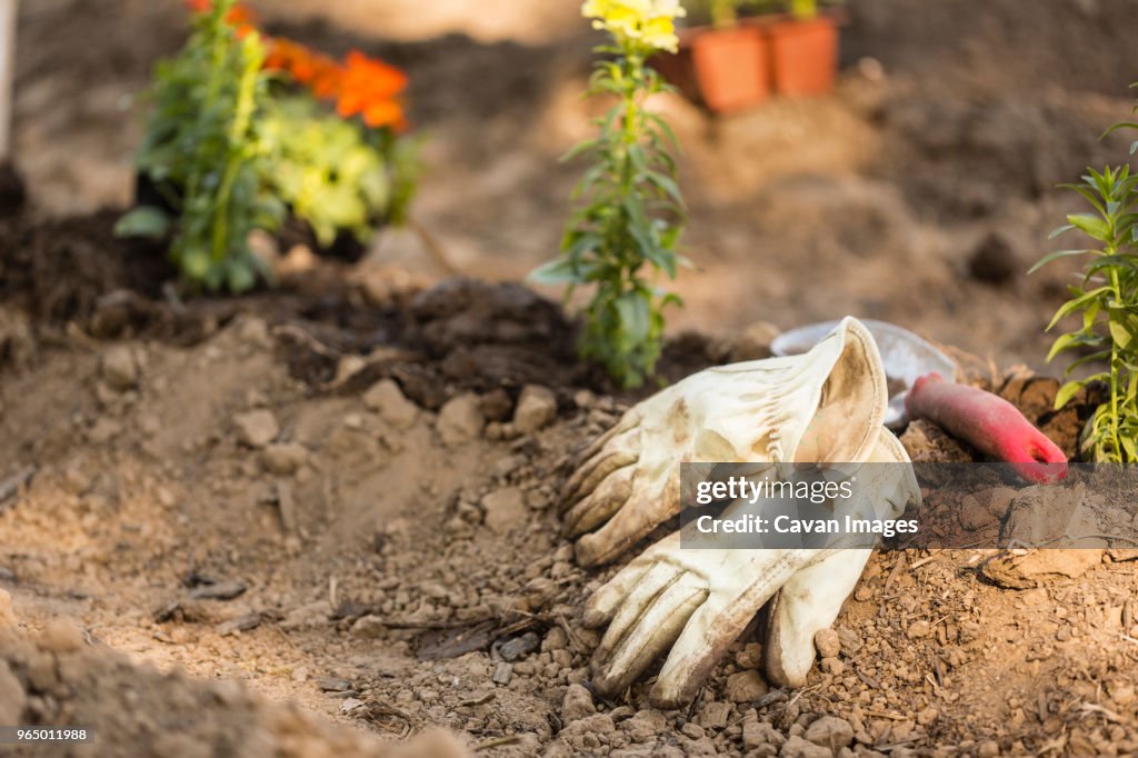 High angle view of gardening gloves with trowel on field at garden