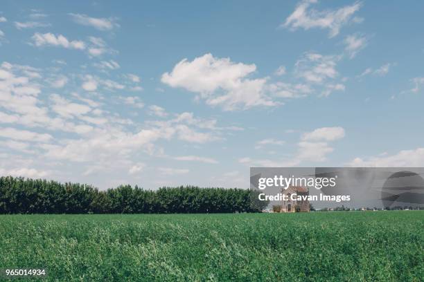 cappella nicolaus braida against sky with grassy field in foreground - bibione stock pictures, royalty-free photos & images
