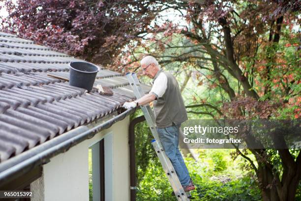 senior man stands on ladder and cleans a roof gutter - cleaning gutters stock pictures, royalty-free photos & images