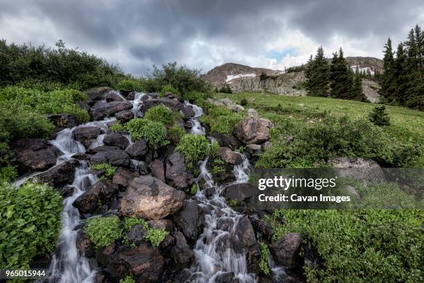 waterfall by field at holy cross wilderness against cloudy sky - white river national forest stock pictures, royalty-free photos & images