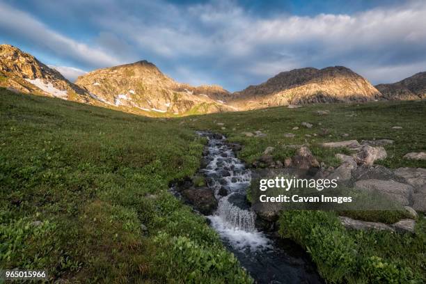 stream amidst field at white river national forest against sky - white river national forest stock pictures, royalty-free photos & images