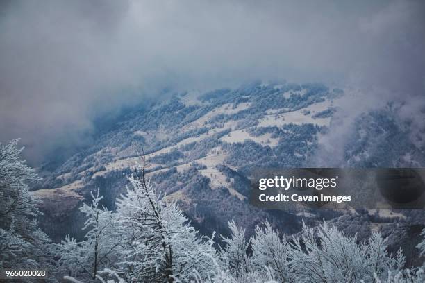 aerial view of fog over landscape - pirot stock pictures, royalty-free photos & images