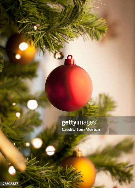 close up of christmas ornament on tree - christmas tree branch stock pictures, royalty-free photos & images