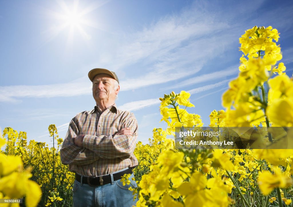 Farmer standing in field of flowers