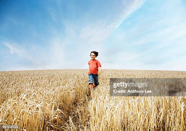 boy running in wheat field - low angle view of wheat growing on field against sky fotografías e imágenes de stock