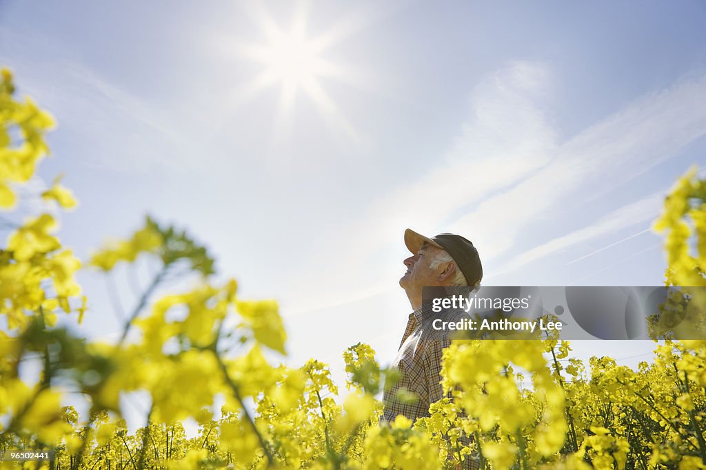 Farmer looking up at sun
